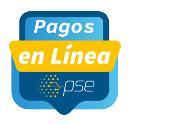 Pagos en línea